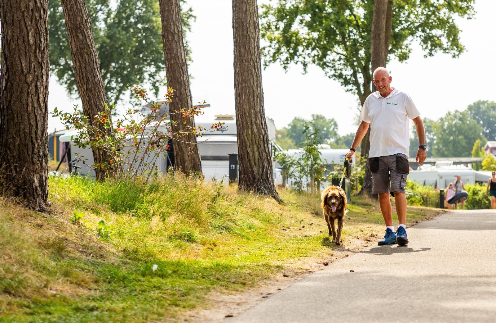 Hondvriendelijke camping overijssel