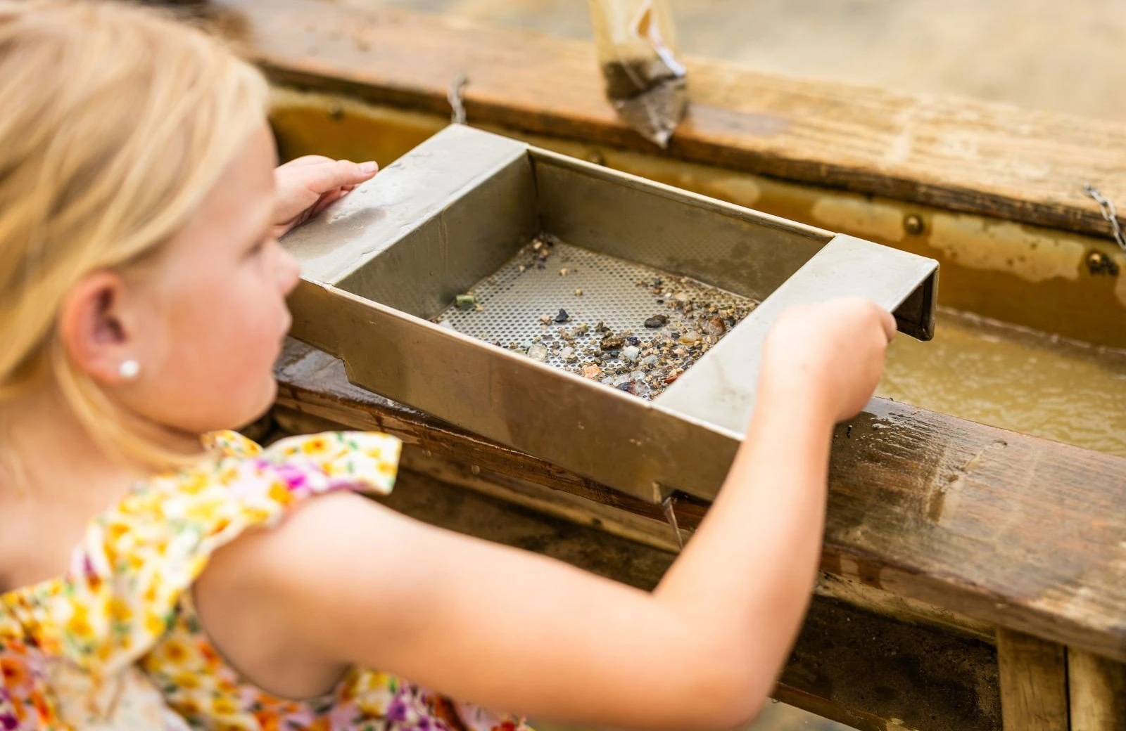 Moddermijn molenhof 3