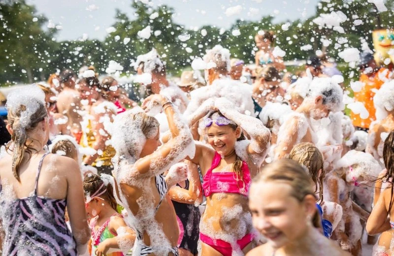 Zomerarrangement Noord